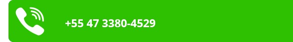 +55 47 3380-4529